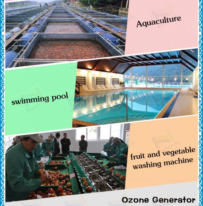 40g - grande abastecimento de água do ozônio do gerador do ozônio 100g para a cultura aquática